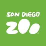 San Diego Zoo - Live ZooCams